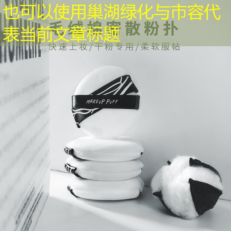 巢湖绿化与市容 巢湖绿化与市容
