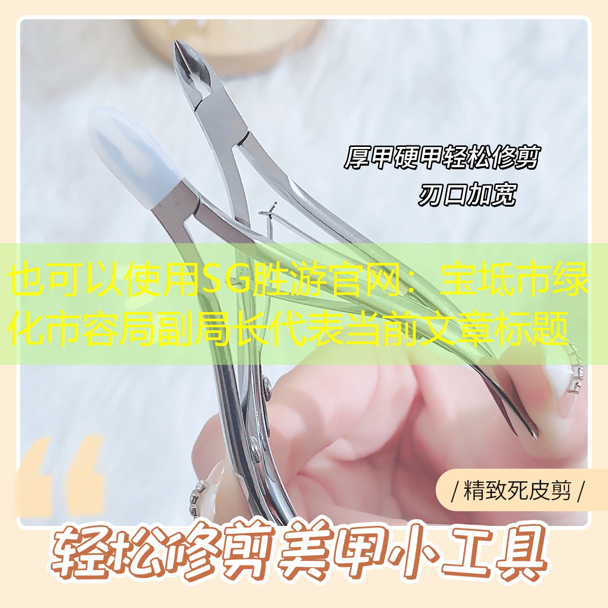 宝坻市绿化市容局副局长 宝坻市绿化市容局副局长